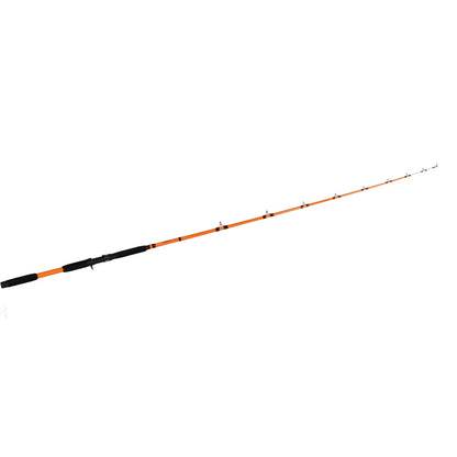 Fishing For Fun Spinning Rod